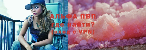 стафф Алексин