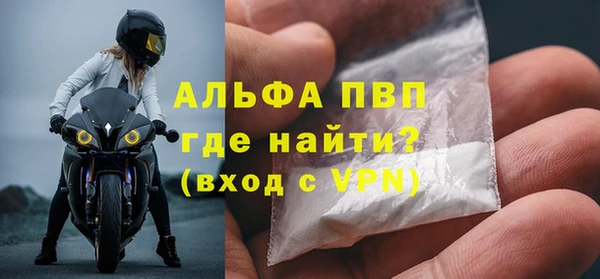 гашик Михайлов
